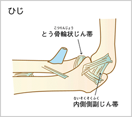 ひじ