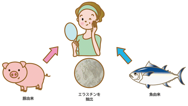 豚、魚を中心に用途や目的、ターゲットに合わせて厳選した原料を使用